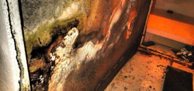 Picture of mold damage.